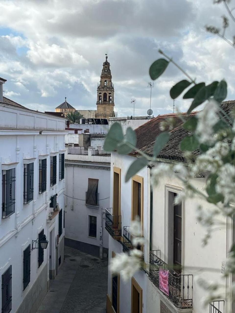 El Balcon De La Torre Apartment Cordoba Exterior photo